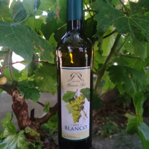 Vino blanco de la zona – Pack 6 uds.